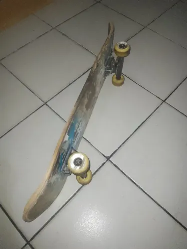Skate usado