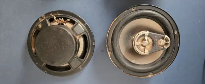 Falante selenium 6 polegadas triaxial FORTE