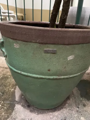 Vaso Organne em Cimento - Grande - Verde Decorativo | Paisagismo