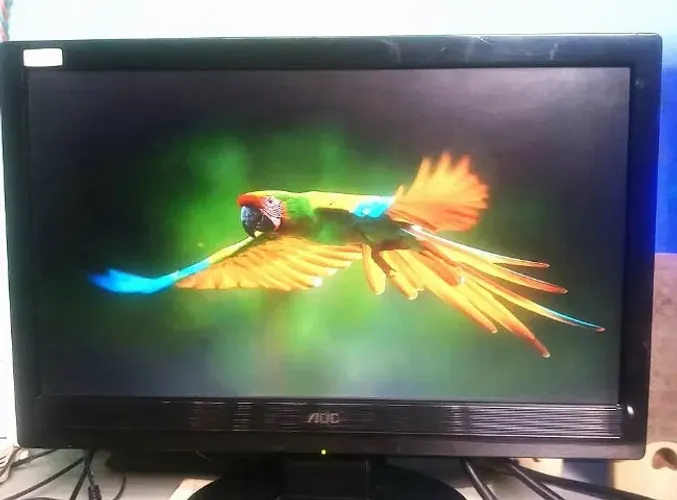 Monitor AOC 15.6" LCD Widescreen 
