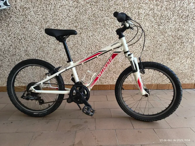 Bicicleta Aro 20 Specialized