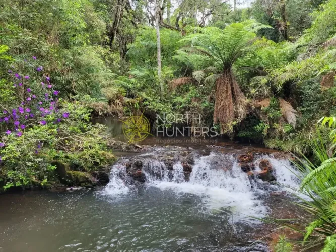 Chácara com cachoeira, própria para pousada e hotel- São Bento Do Sul/SC