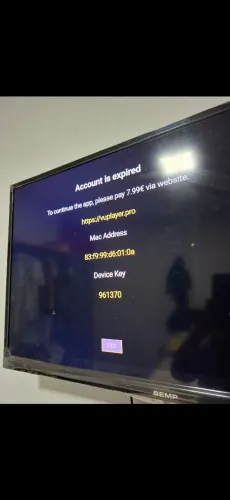 Televisão