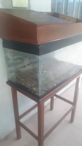 aquario!!!