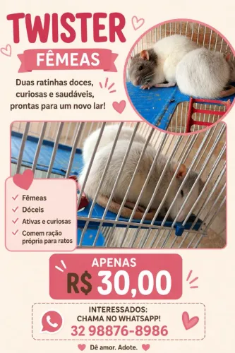 Rata Twister