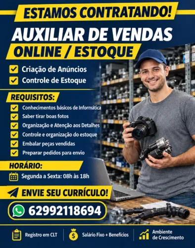 AUXILIAR DE VENDAS ONLINE/CADASTROS