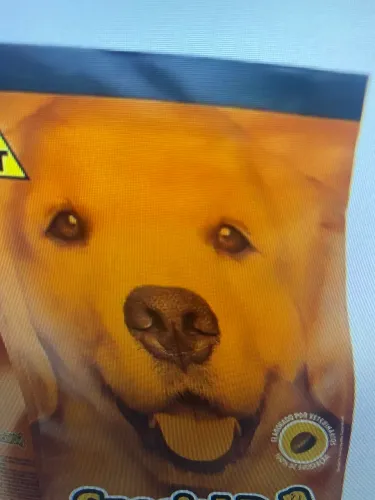 Ração para cachorro