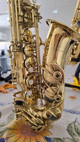 Sax alto Michael modelo WASM35 Estado de novo