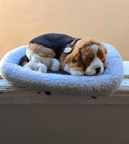 Cachorrinho decorativo perfect petzz