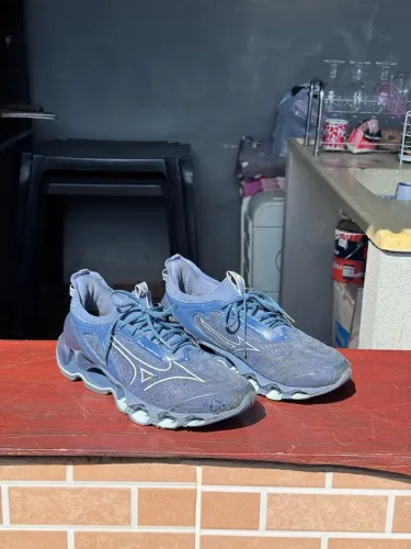 Mizuno wave prophecy 14