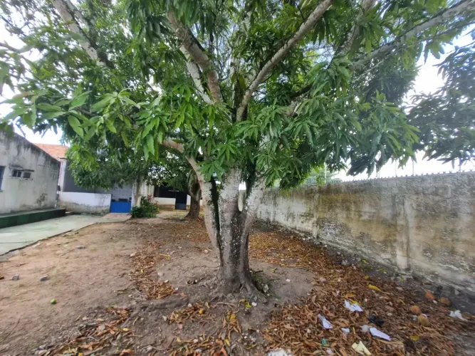 Imóvel para venda com200 metros quadrados com 1 quarto em Benedito Bentes - Maceió - AL