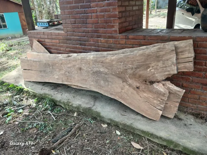 Lindas peças de CEDRO ROSA mil reais cada, são 3 peças disponíveis. Meu tel *