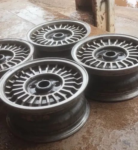 RODAS RALINHO DO OPALA  DIPLOMATA ANO  86