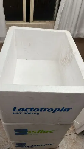Caixa isopor 80x60x45cm