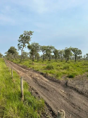 Fazenda para arrendamento Corumbá-MS