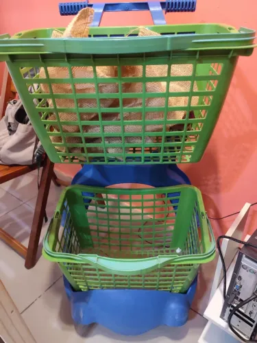 Carrinho de compras