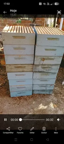 Melgueiras de Pinus Novas