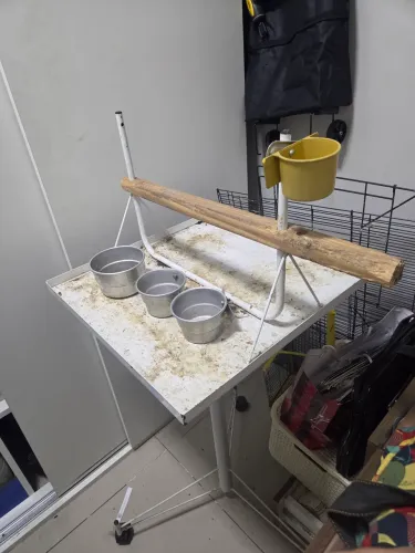 Poleiro para papagaio com comedouro