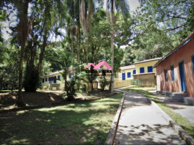Fazenda em Roseira /SP.