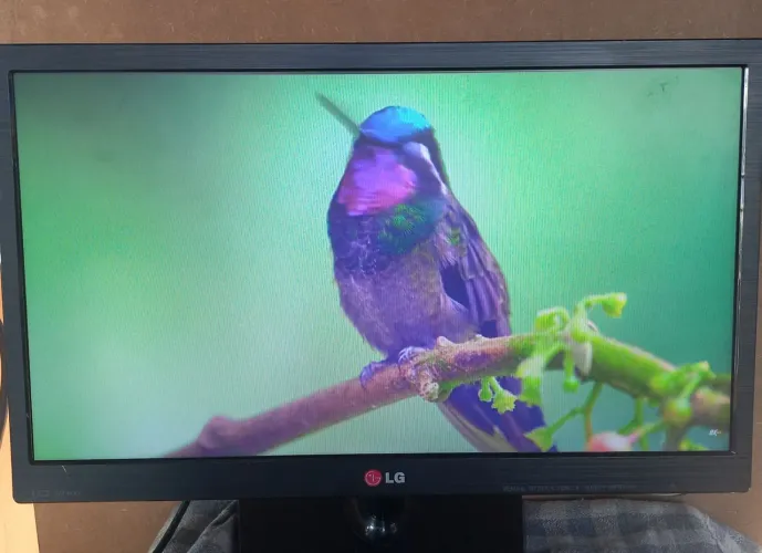 Monitor