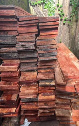 Tábua de azimbre pra caixarias Lages 3mt