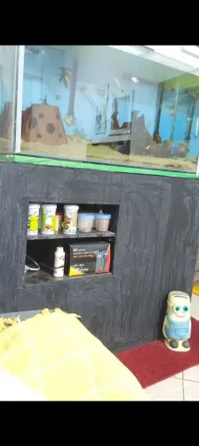 Base para aquário 