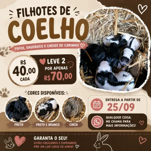 Animais