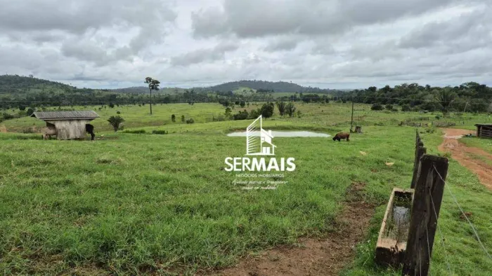 Fazenda à venda 103 alqueires Conta com 02 casas em bom estado