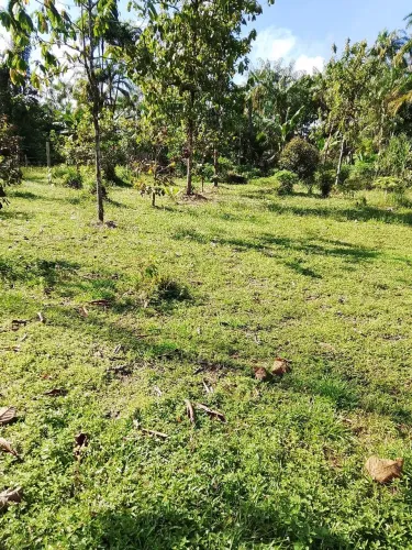 Vendo terreno