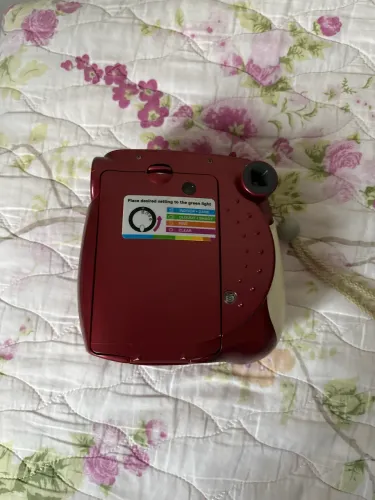 Polaroid 300