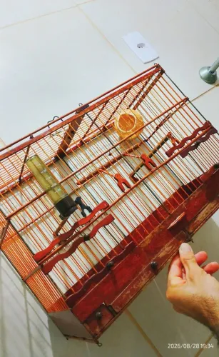 Gaiola