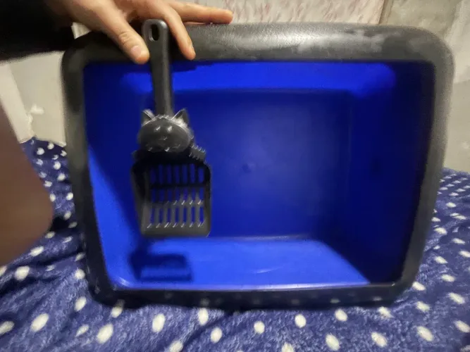 Caixa sanitária para pet