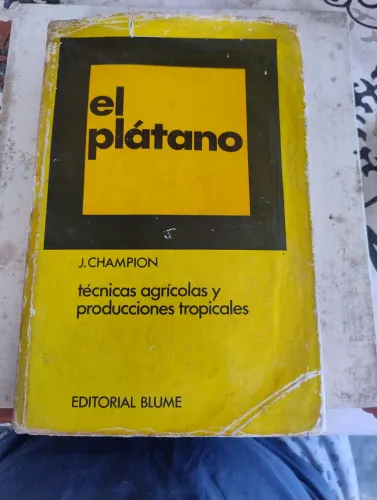 El plátano 