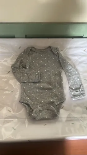 Body Carters