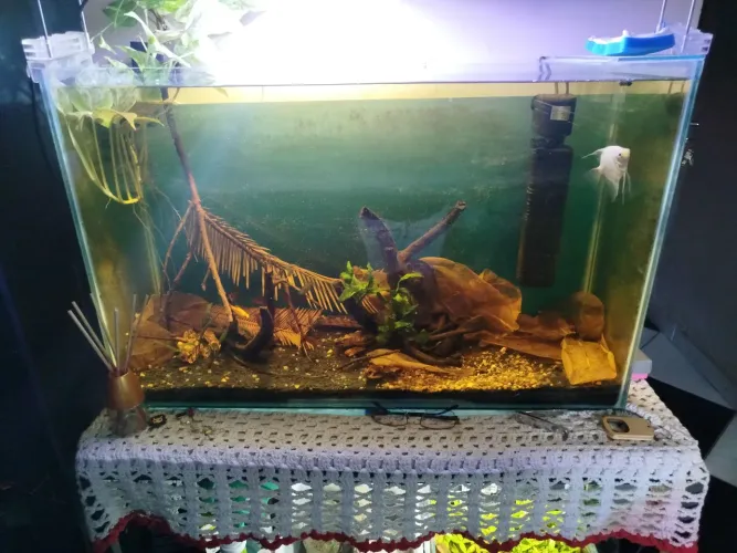 Aquário 120L
