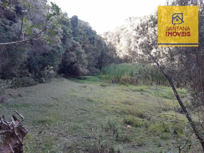 Chácara à venda, 20000 m² por R$ 790.000,00 - Jardim Florestal - Campo Largo/PR