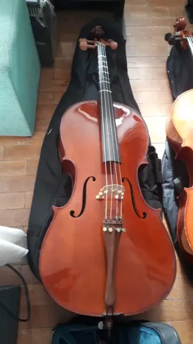 Violoncelo Eagle Ce 200 (novissimo)
