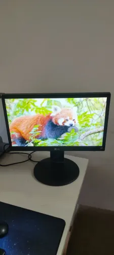 Monitor LG 20" VGA/DVI com base giratória 