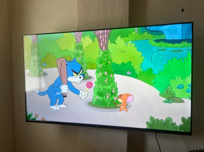 Vendo tv 50 polegadas 1400