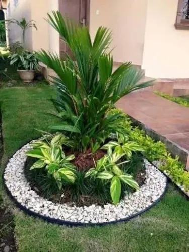 Grama Batatais e Bermuda Alta Durabilidade e Beleza 