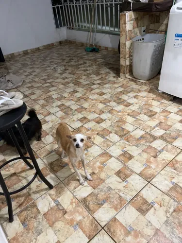Doação 