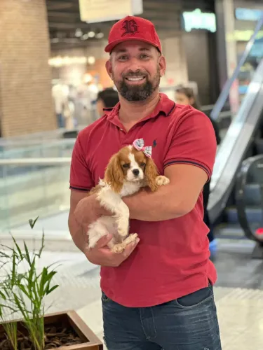 Cavalier king