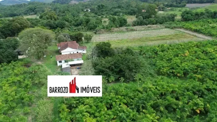 Barrozo Imóveis - Propriedade a venda com 17.7 ha (177.000 m²) com 180.000 hastes de palmi