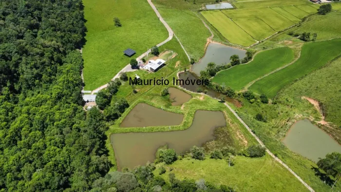 Sítio Vale dos Sonhos, com 6,7 hectares, a 1300metros da igreja da Paleta, 2km do centro d