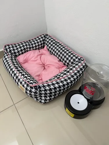 Bebedouro e cama Pet