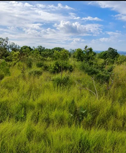 LOTE NO JARDIM INGÁ POR 12 MIL REAIS