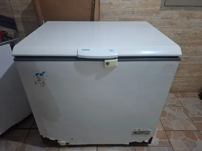 Freezer Consul 309L