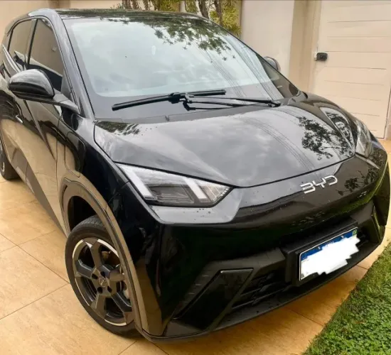 BYD Dolphin Mini (Elétrico) 2024