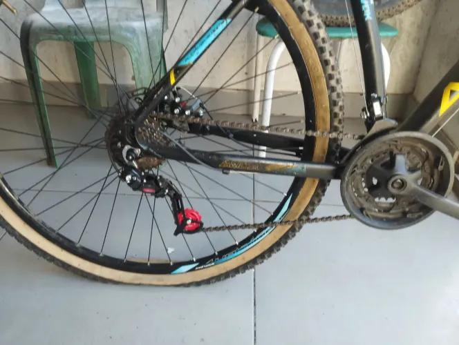 Bicicleta 29