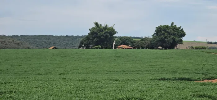 Fazenda de arrendamento 755hec em Doverlândia Goiás.